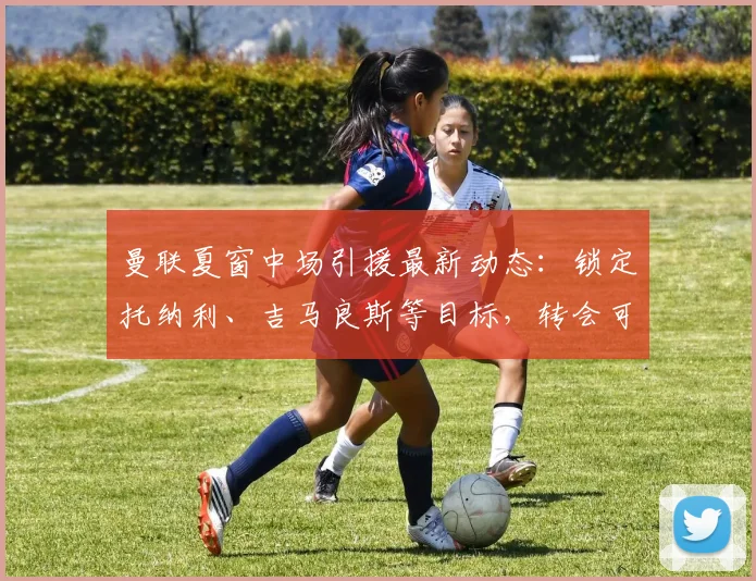 曼联夏窗中场引援最新动态：锁定托纳利、吉马良斯等目标，转会可能性深度解析